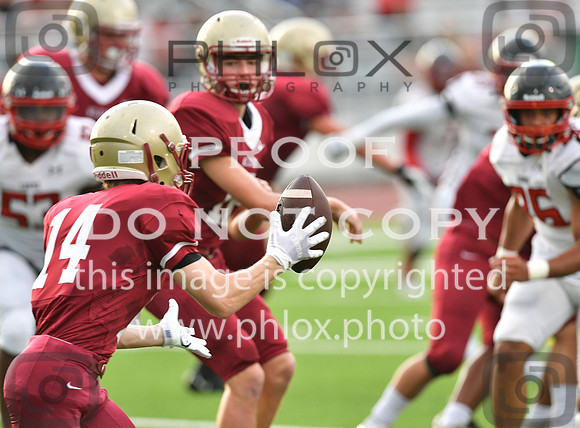 TOM_1544