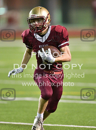 TOM_2460