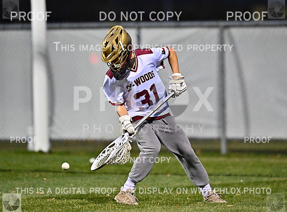 DLS_3360