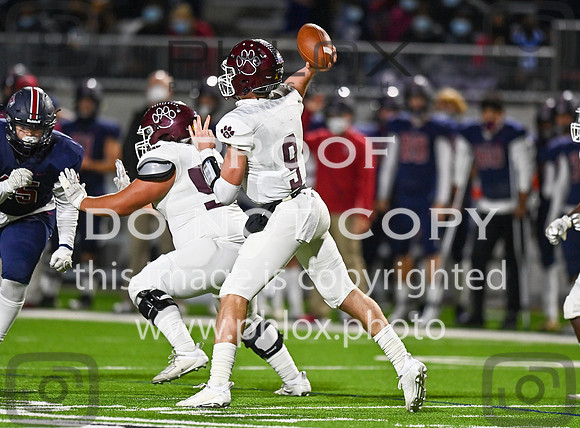 DLS_5335