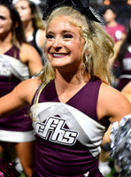 FDS_8769