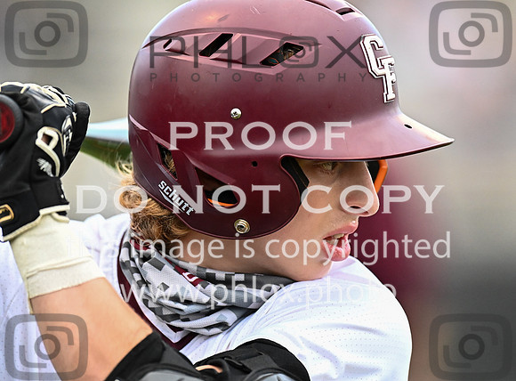 DLS_1083