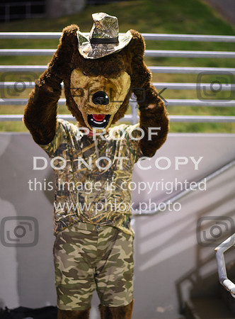ND5_9334