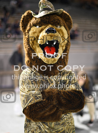 ND5_9351