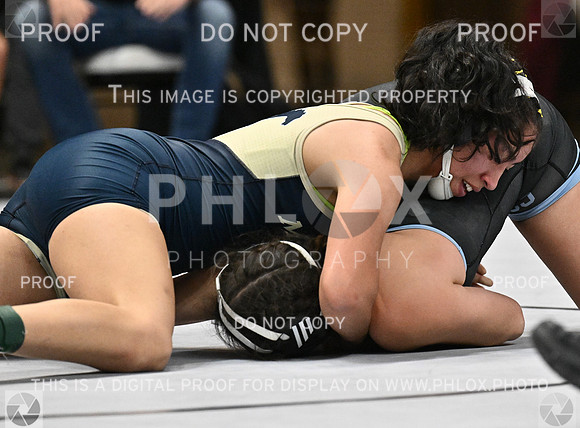 DLS_4488
