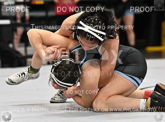 DLS_4418