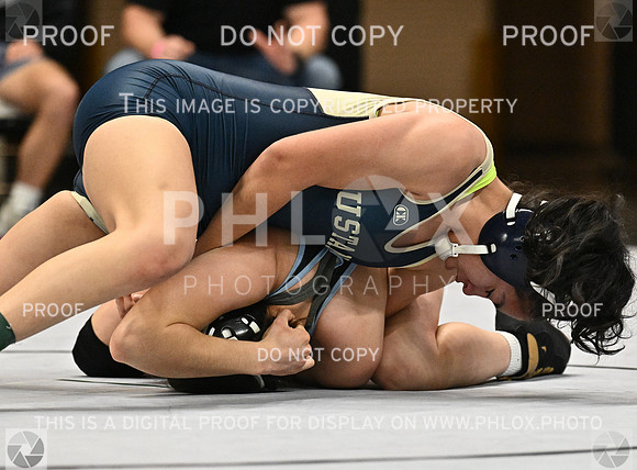 DLS_4465
