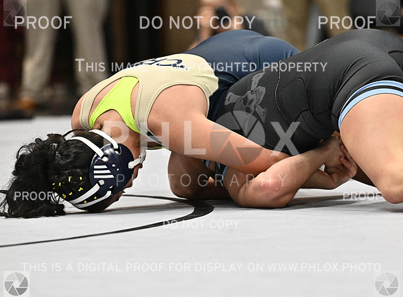 DLS_4479