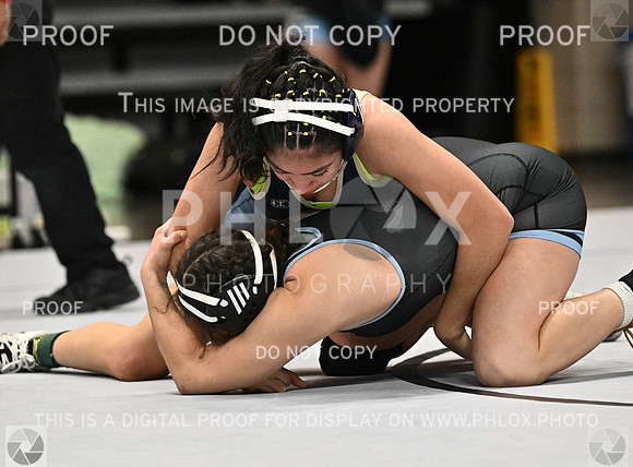 DLS_4414
