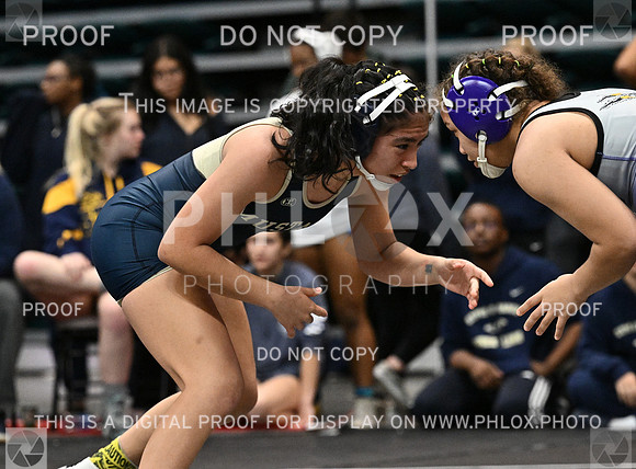 DLS_6108