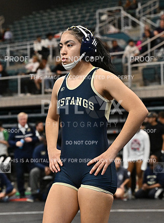 DLS_6100