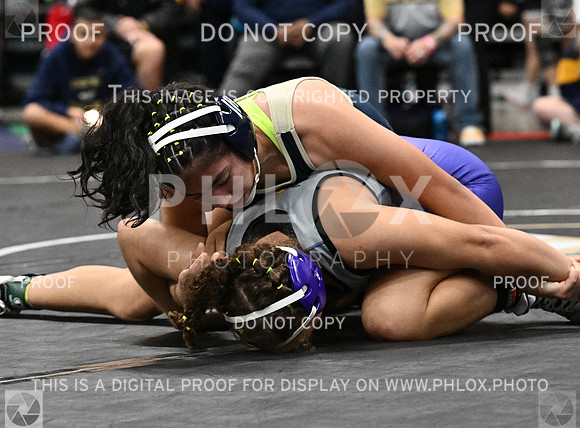 DLS_6169