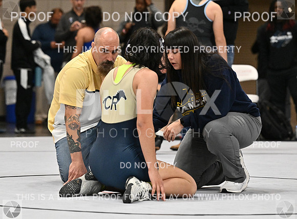 DLS_4402