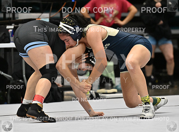 DLS_4389