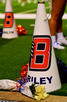 D5D_4181