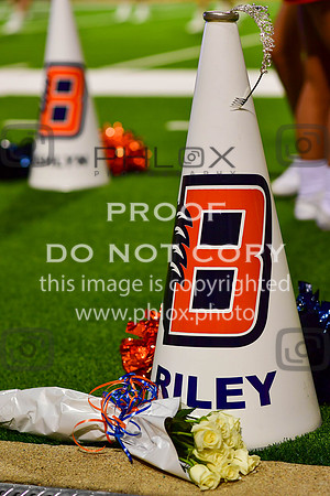 D5D_4185