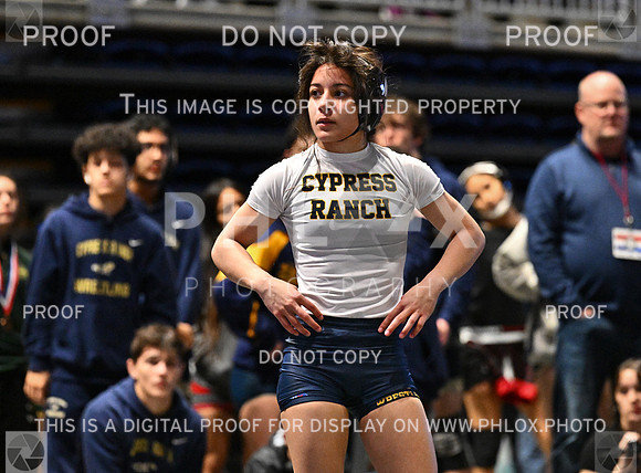 DLS_6560