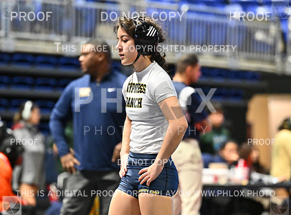 DLS_6508-2