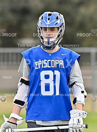 DLS_1849
