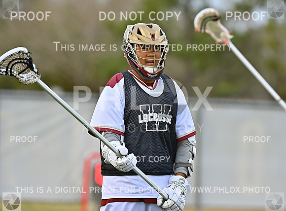 DLS_2003