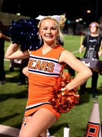 TOM_9137