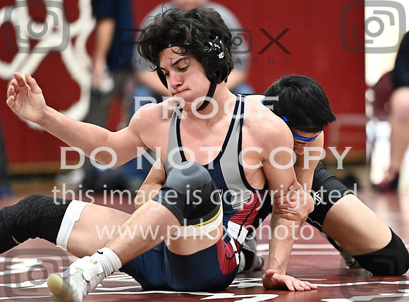 DLS_3919