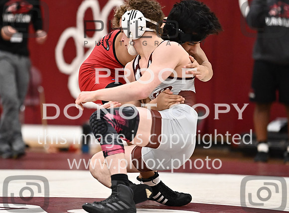 DLS_3796