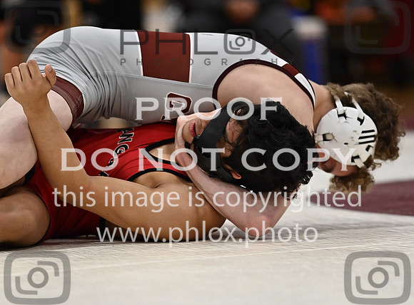 DLS_3818