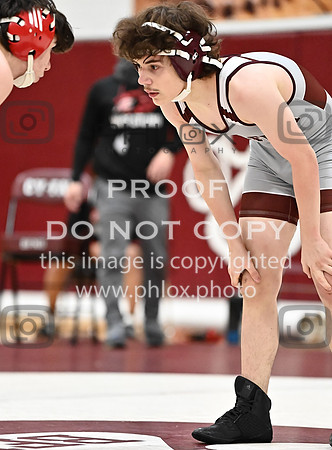 DLS_3902