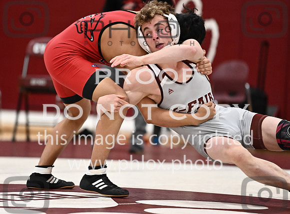 DLS_3799