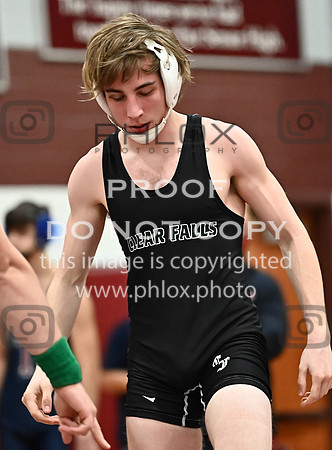 DLS_4029