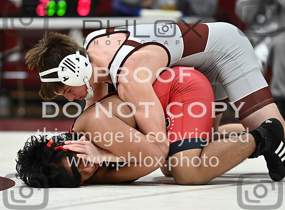 DLS_4021
