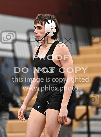 DLS_3848