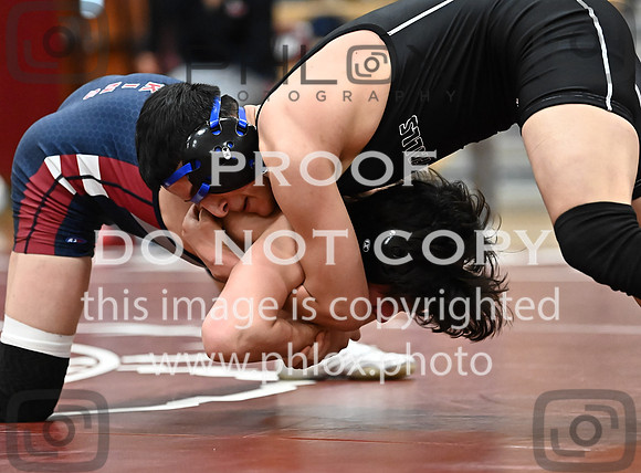 DLS_3906