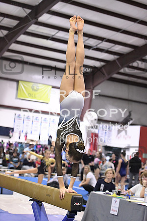 D85_0097