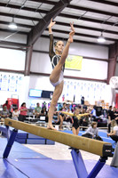 D85_0096
