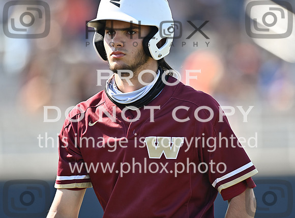 DLS_8709