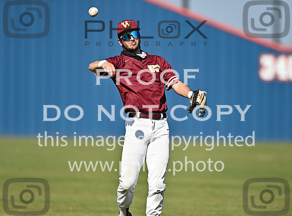 DLS_8841