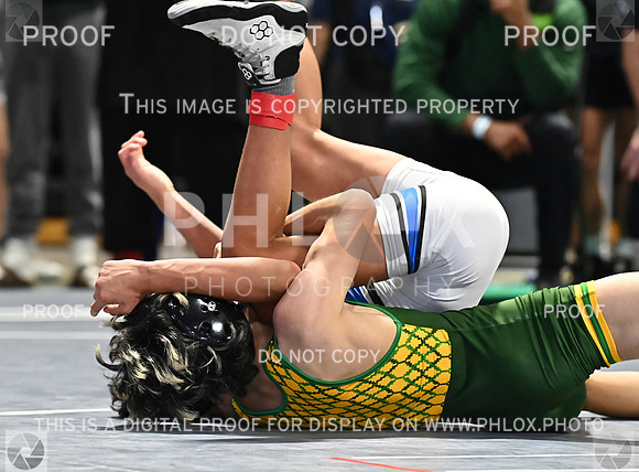 DLS_0508