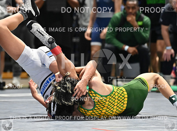 DLS_0511