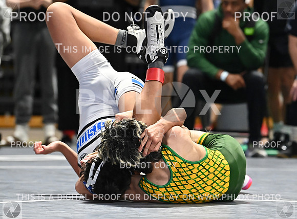DLS_0513