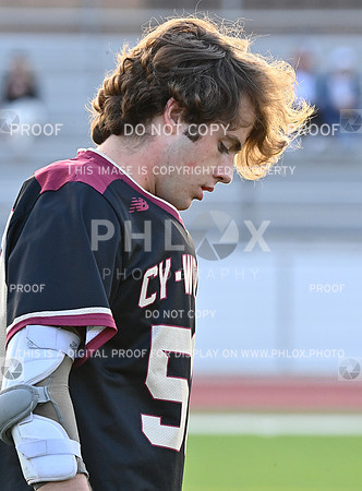 DLS_2914