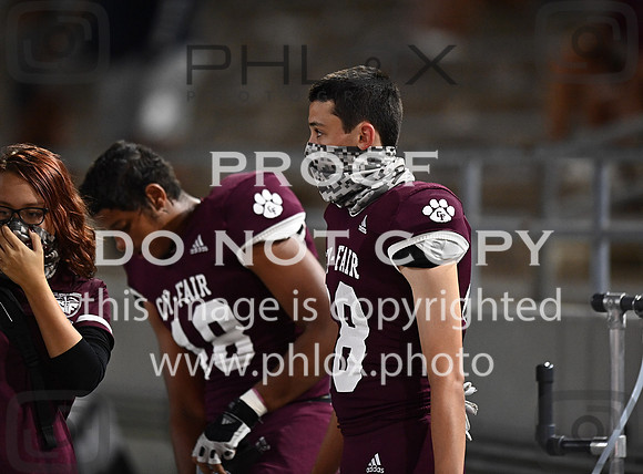 DLS_1490