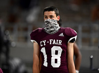 DLS_1499