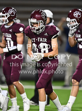 DLS_3029