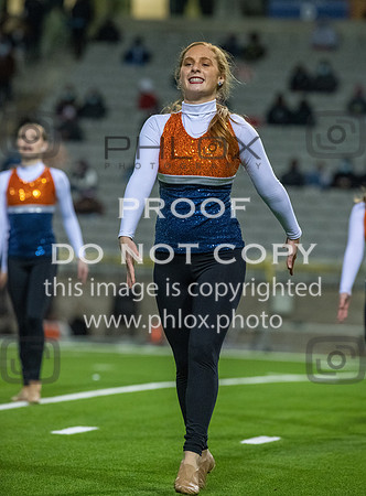 DLS_9845