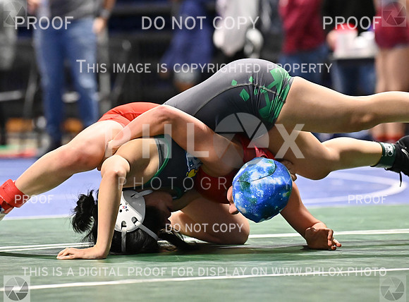 DLS_9763