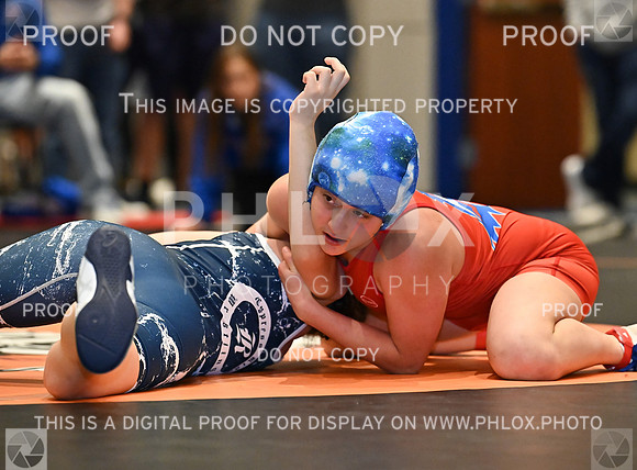 DLS_0188