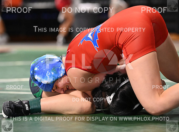 DLS_9733