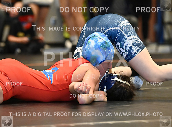 DLS_0196